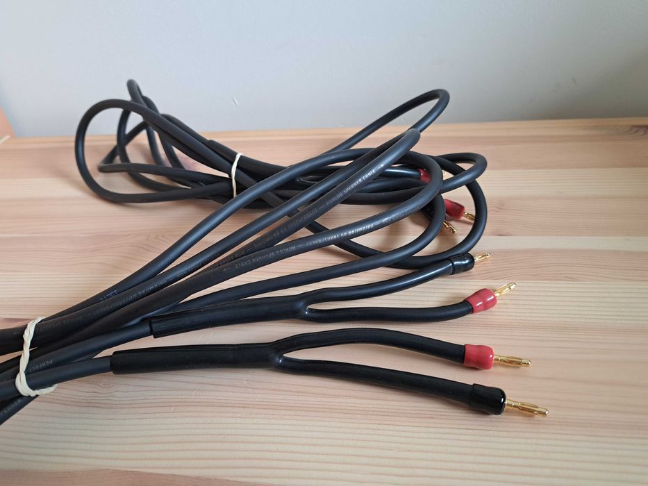 Transparent Audio Hardwired Speaker Cable - przewody głośnikowe 2x3,0m