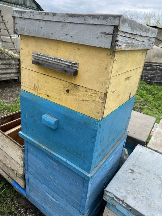 Продам вулики дадани 12 рамок