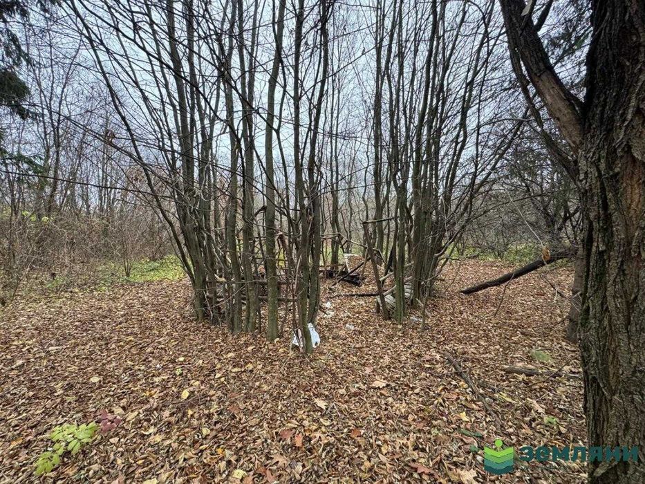 Земельна ділянка з приміщенням під комерцію Підлужжя (6)