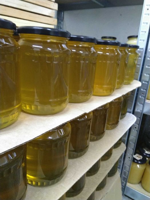 Miód z własnej pasieki sprzedam 1kg