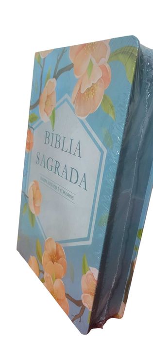 Biblias com Harpa e corinhos