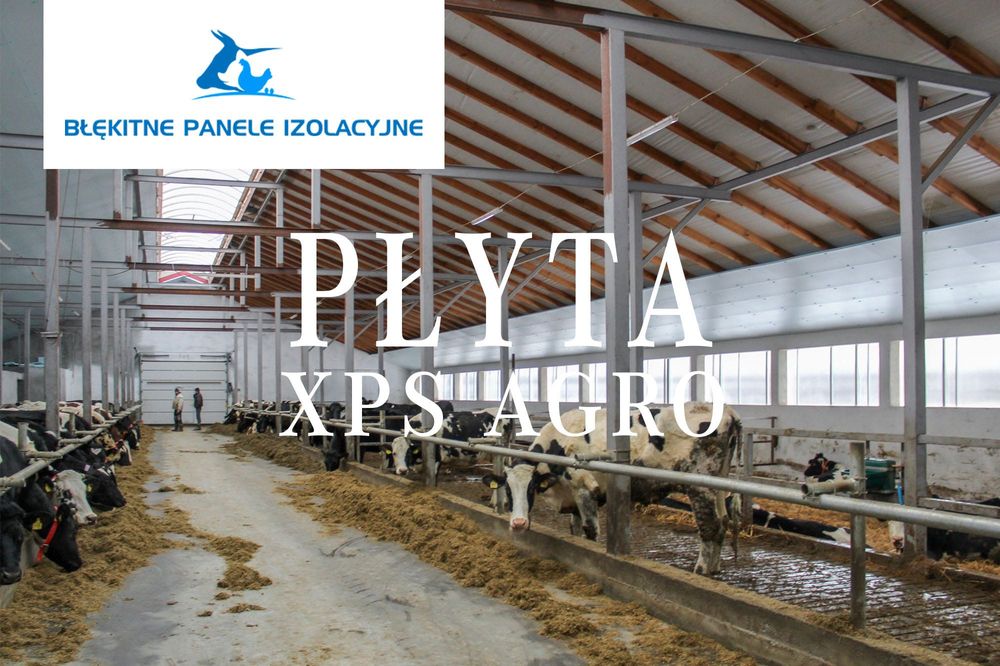 Płyta Wyciepleniowa Podkrokwiowa Podsufitka Obory Styrodur XPS AGRO