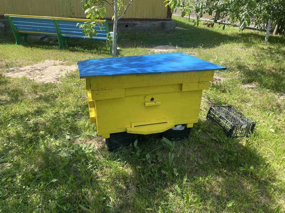 Вулики зі бджолами