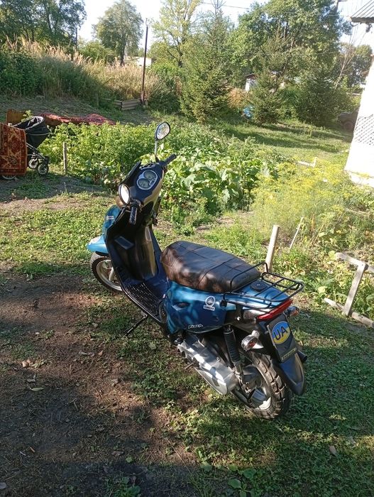 Generik-Cracker 50