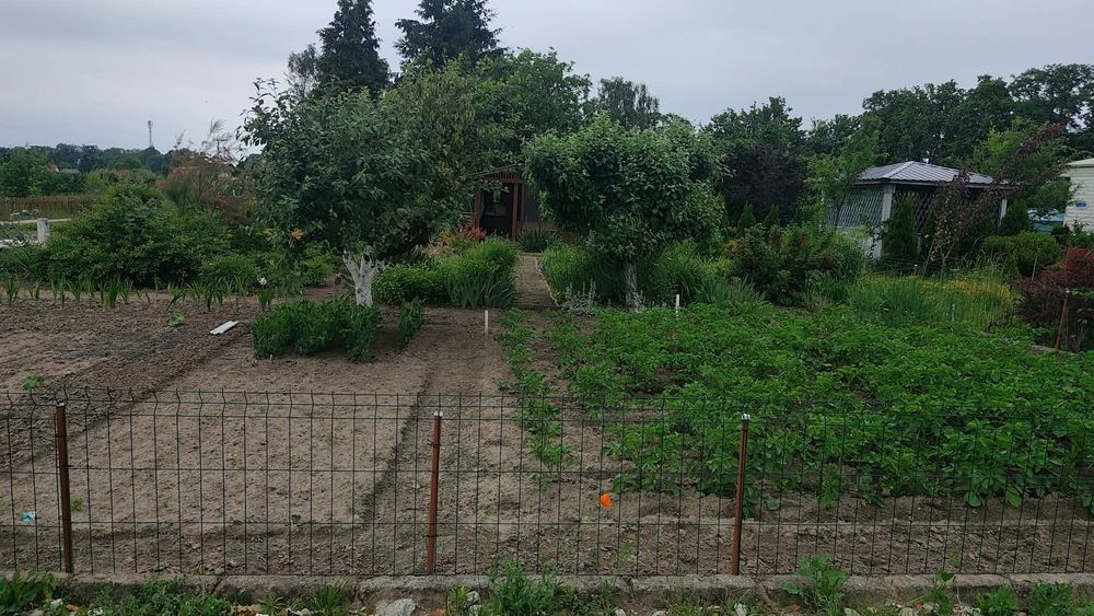 Ogród działkowy (sprzedaż prawa do użytkowania)