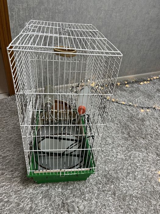Большая клетка для грызонов, клетка для грызуна.