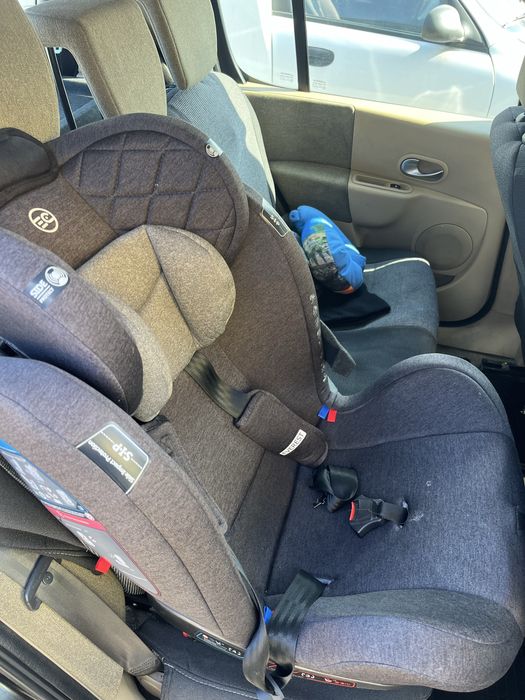 Продам Reno modus