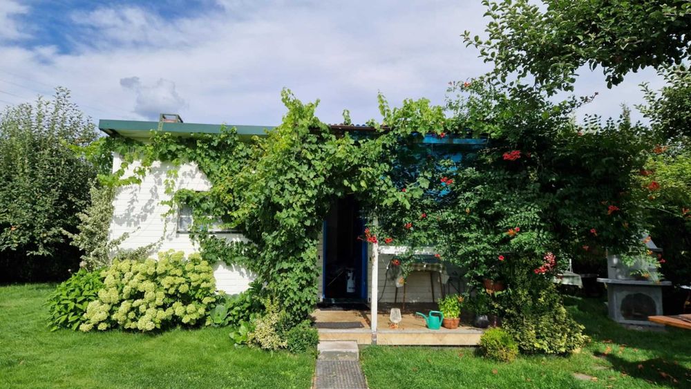 Dwie połączone działki ROD - 600m2, WYJĄTKOWA OKAZJA