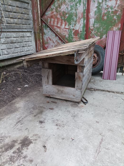 Собачья будка для двора