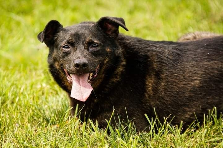 Zrobiła ogromne postępy! Szuka kochającej Rodziny!