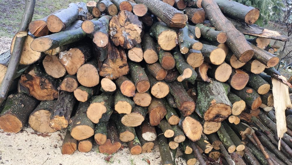 Drewno opałowe walki i gałeziówka