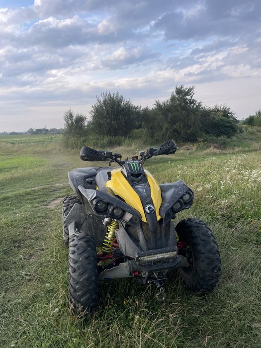 brp renegade 1000r