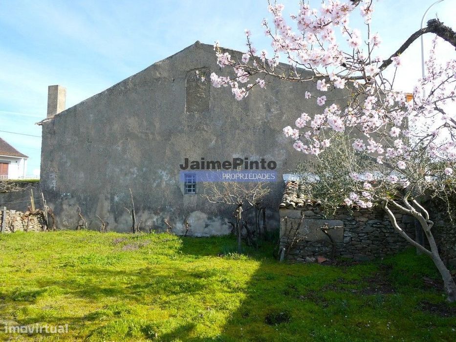 Moradia antiga, simples, térrea. Portugal, Figueira de Castelo Rodr...