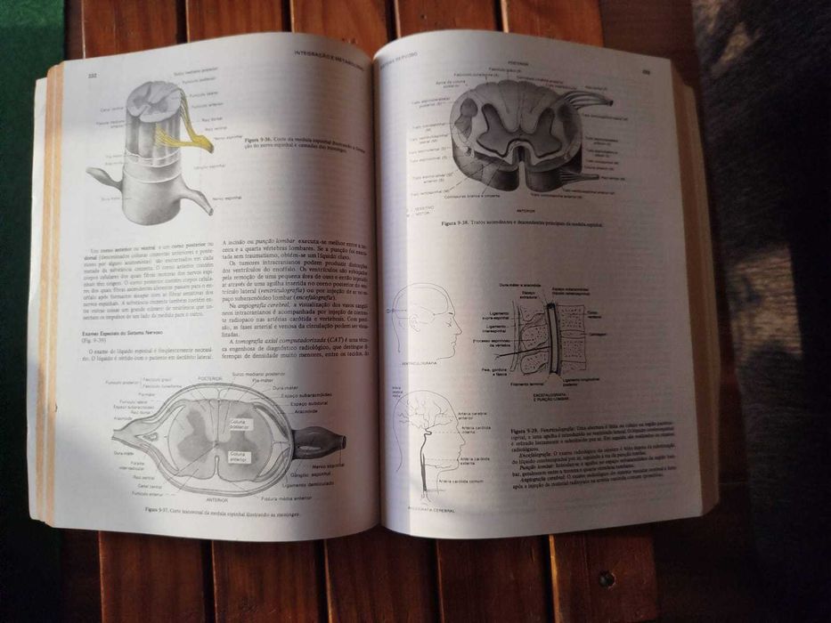 Anatomia e fisiologia humana de Jacob Francone Lossow
