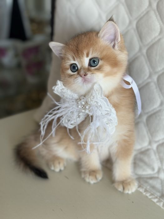 Все найкраще закладено в цих дітках.