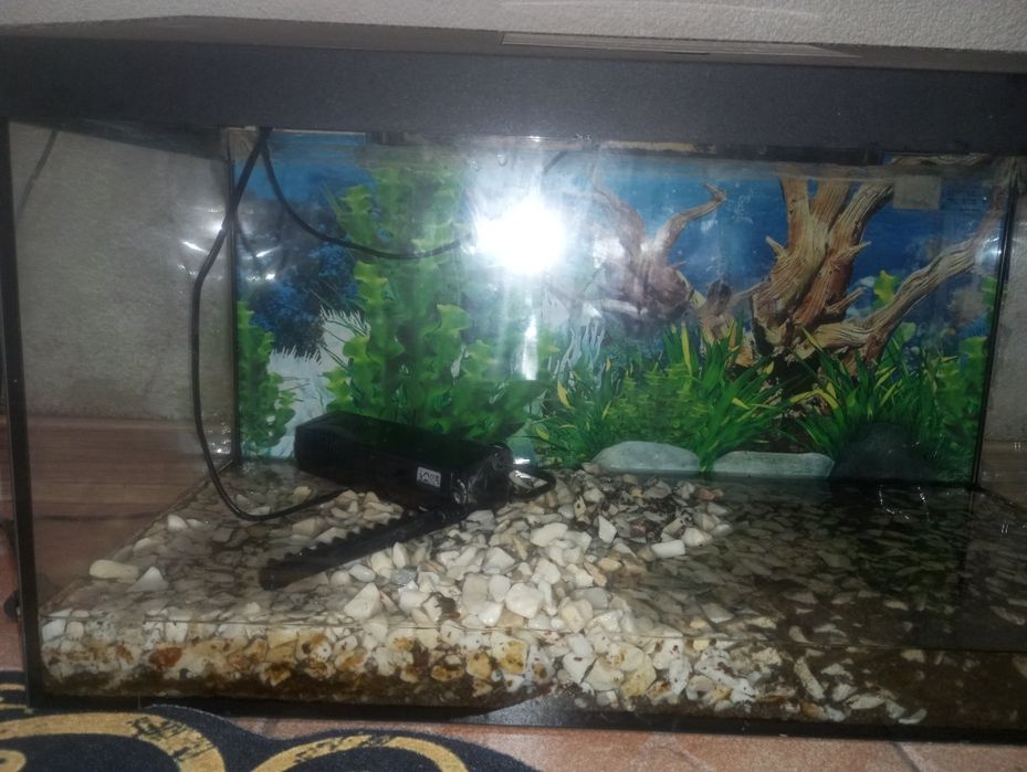 Akwarium Aquael z filtrem