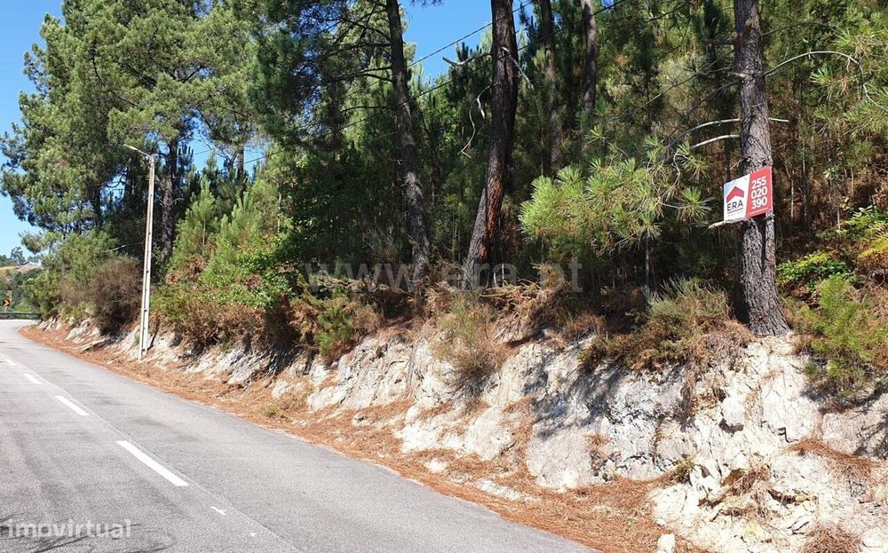 Terreno / Marco de Canaveses, Penhalonga e Paços de Gaiolo — Penhalonga E Paços De Gaiolo, Porto