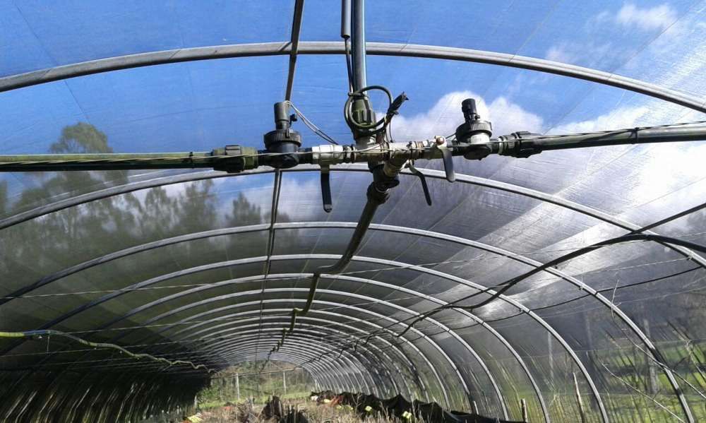 Vendo Estufa Agrícola