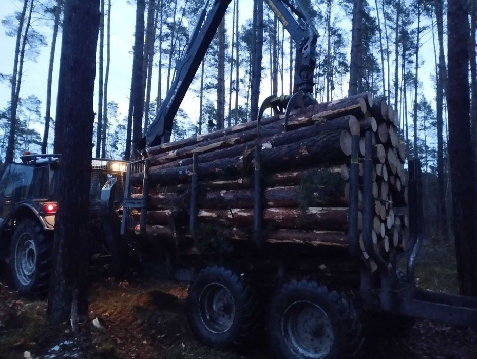 Wycinka drzew samosiejek REKULTYWACJA GRUNTÓW Zielona Góra +-60km