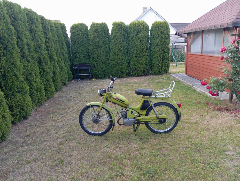 Komar