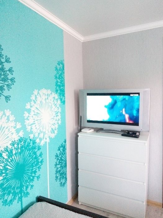 Центр.Однокомнатная на Каменецкой.72 Новый рік