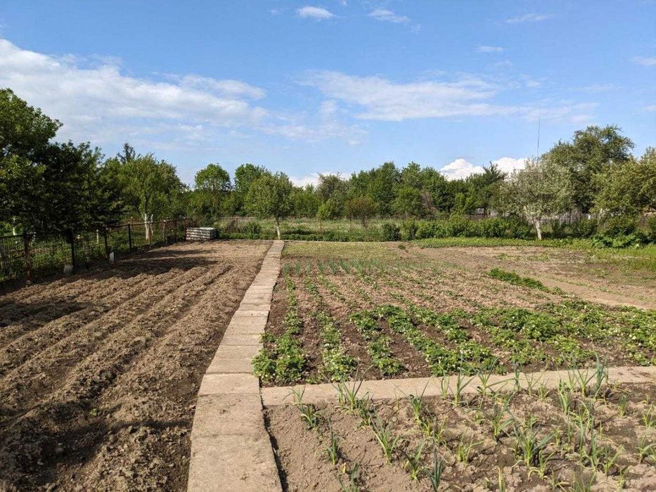 Продається ділянка з будинком в с.Лисець 19 сот. 60м2 (12)