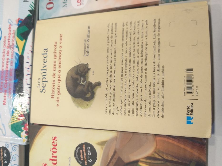 Livro história de uma gaivota e do gato que a ensinou a voar