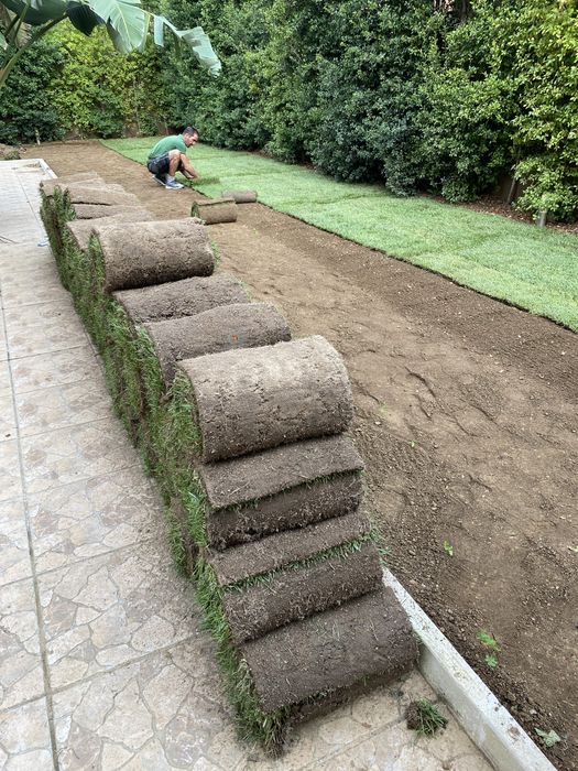 Serviço de jardinagem, limpeza de terrenos, poda de arvores