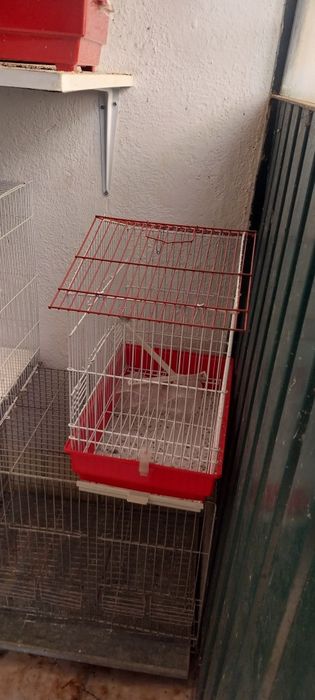 Gaiolas para canários