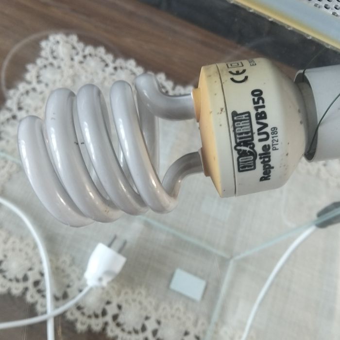 Terrarium z lampą UV