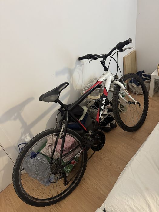 Bicicleta caxinas
