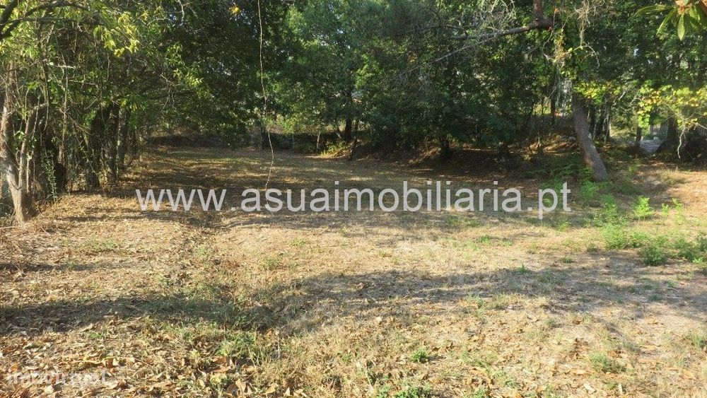 Terreno Agrícola e Bouça - Goães
