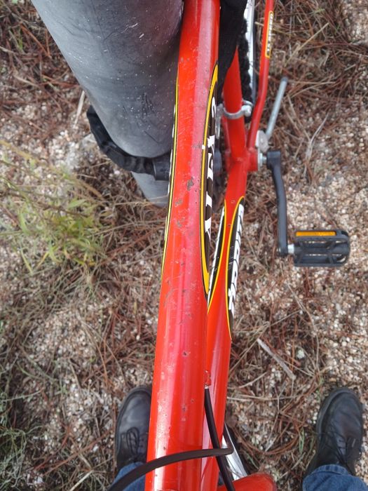 Bicicleta órbita speed