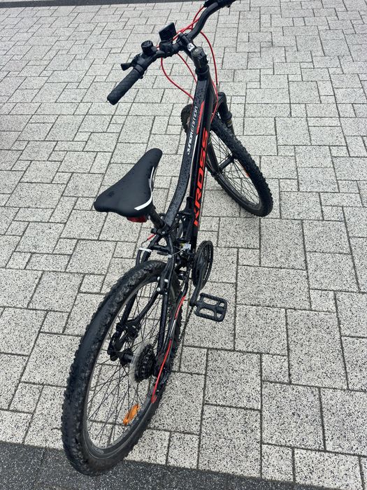 Kross Junior Edition rama xs