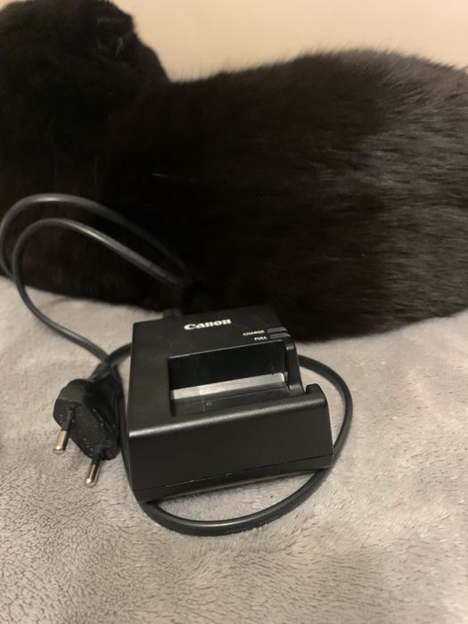 Фотоапарат canon 1100d