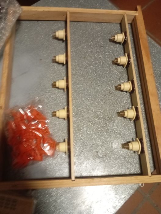 Colmeia criadeira lusitana