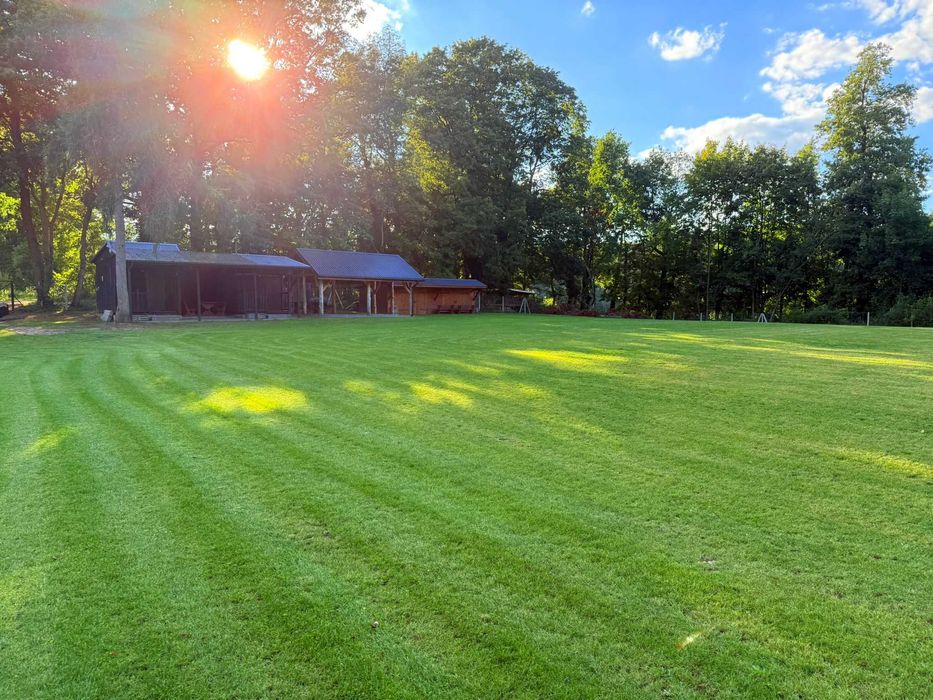 Wydzierżawie działkę nad jeziorem