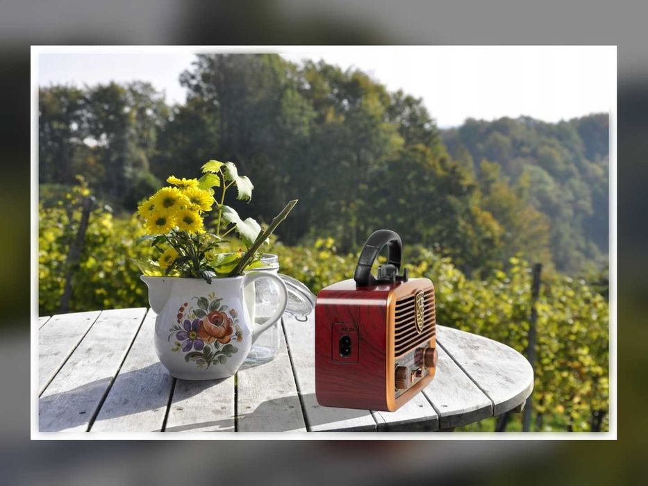 Radio Retro FM AM Przenośne Brązowe USB Czytnik Kart Antena Uchwyt