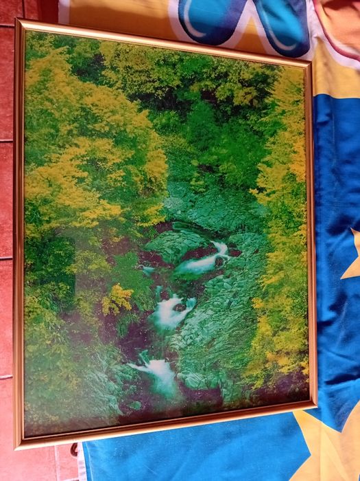 Quadro Decorativo