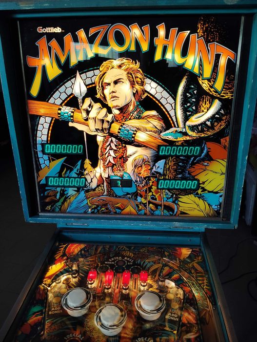 Fliper Pinball - Amazon Hunt