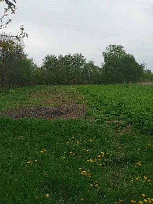Продам дом в пгт Печенеги