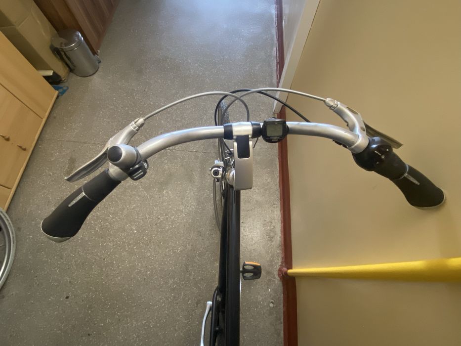 Batavus Mambo 100 Spring