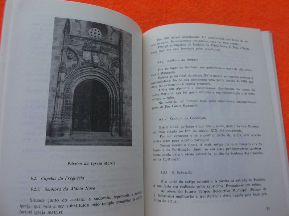 Elementos para uma monografia de Vila Nova de Foz Côa