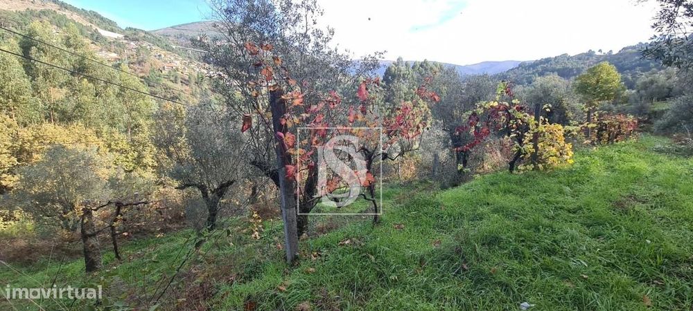 Terreno  Venda em Candemil,Amarante