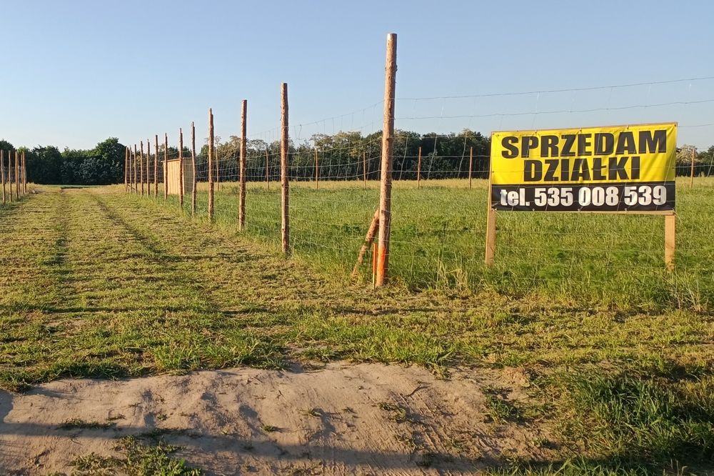 Działka w Czarnocinie