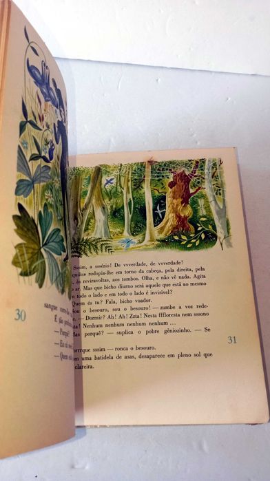 O Bosque Mágico - Biblioteca Infantil