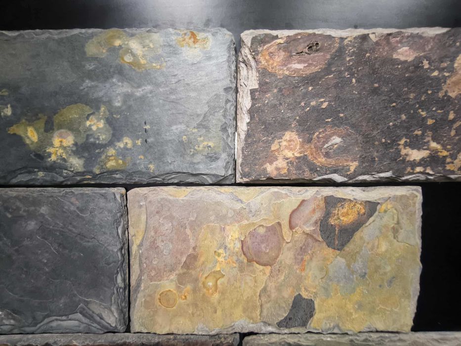 Kamień Łupek Multicolor i Jaipur Multi