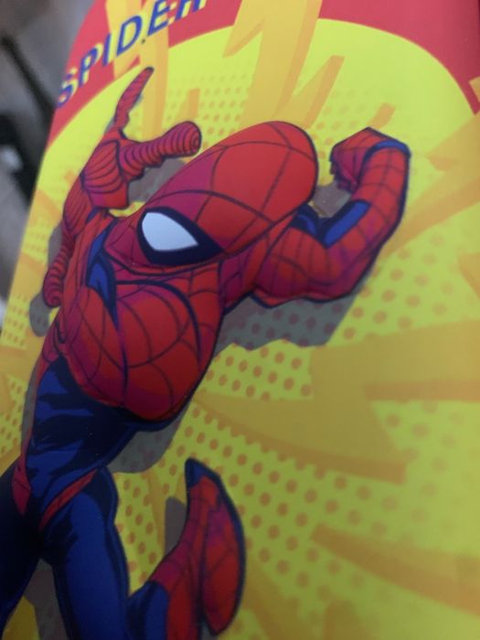Estojo Spider Man