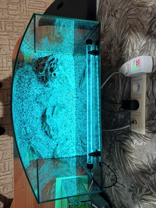 Террариум большой