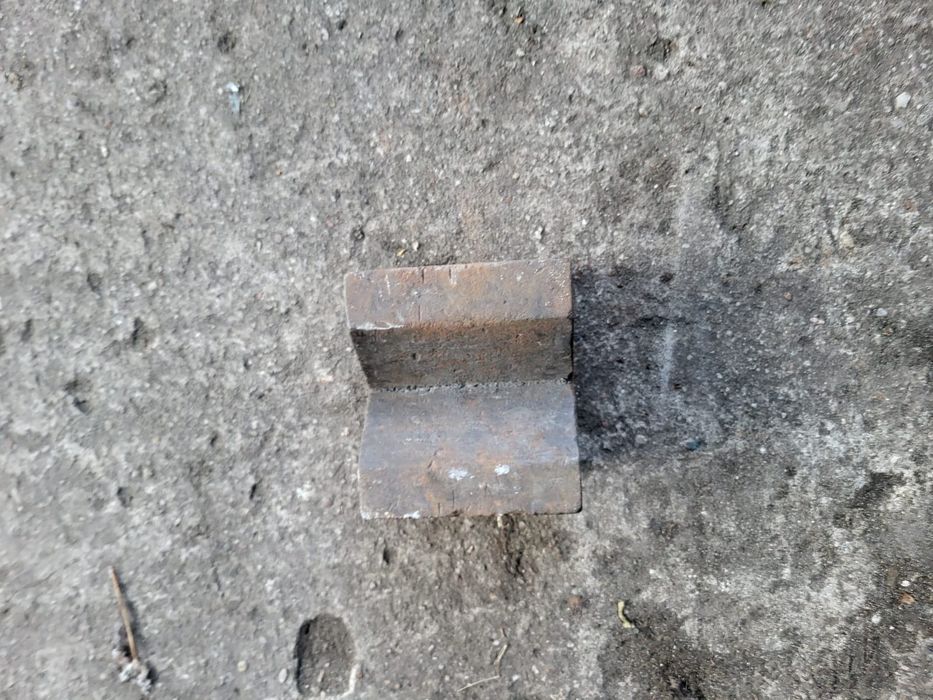 Prościarka kowalska